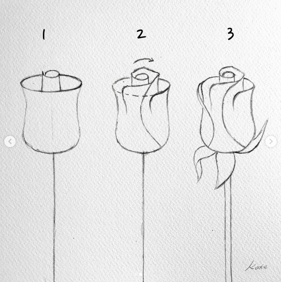 Нарисовать розу поэтапно для начинающих карандашом легко и красиво