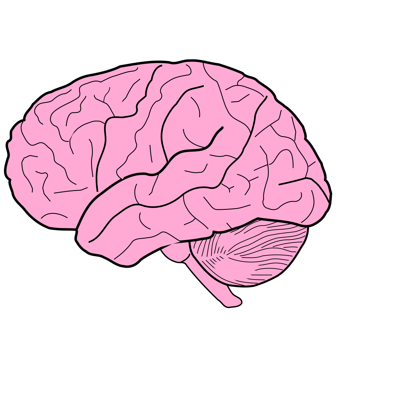 Рисунок мозга легко. Мозг без фона. Мозг рисунок. Мозг для срисовки. Мозг на розовом фоне.