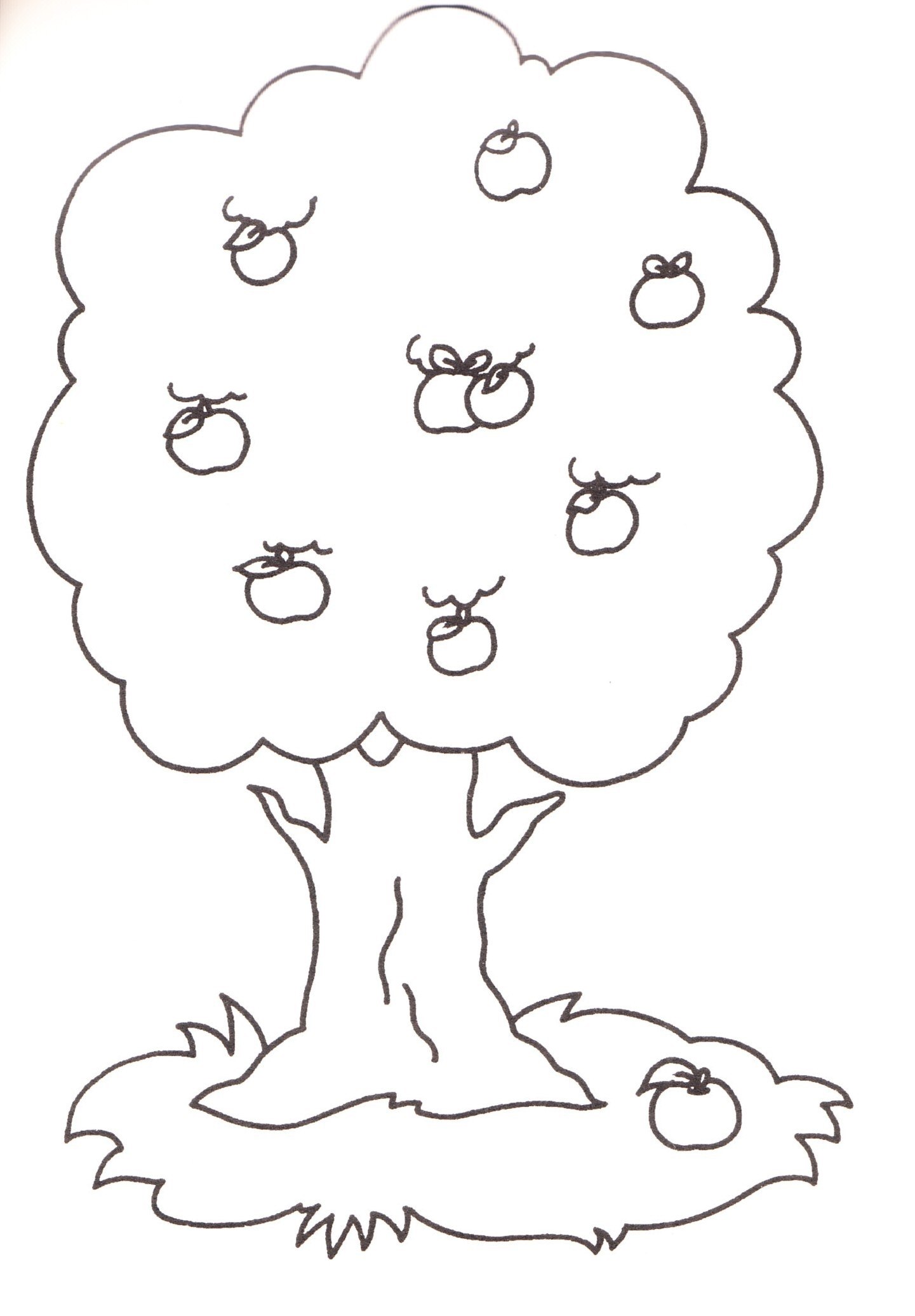 Деревья напечатать. Дерево раскраска. Дерево раскраска для детей. Дерево яблоня раскраска. Яблоня раскраска для детей.