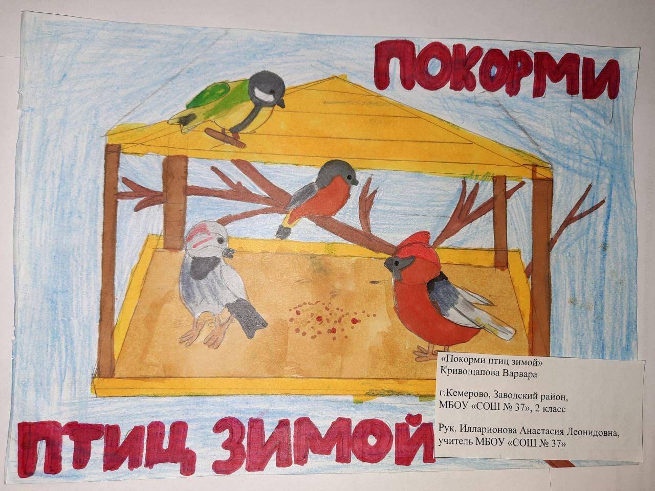 Рисунок встречаем пернатых. Рисунок поможем зимующим птицам. Рисунок на тему птицы наши друзья. Покорми птиц. Покормите птиц зимой.