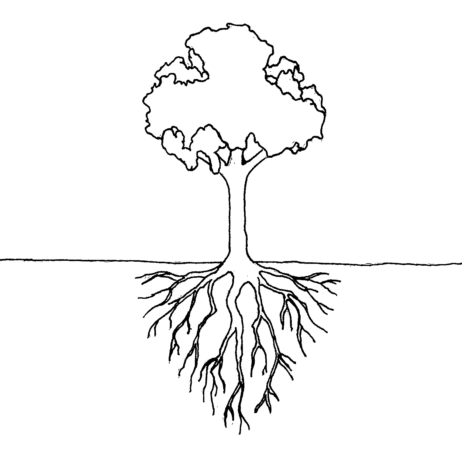 Дерево с корнями рисунок карандашом