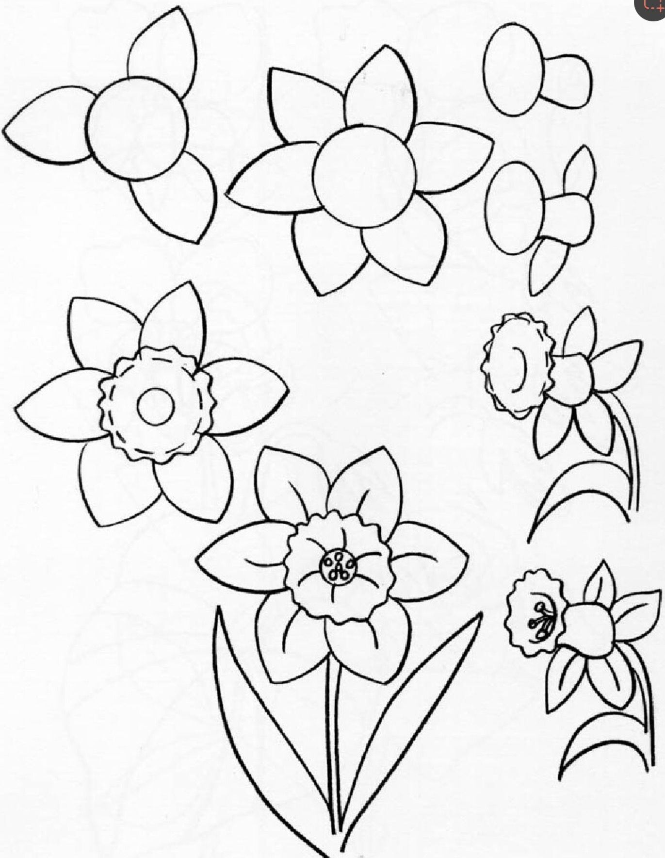 Как можно нарисовать цветок. Цветы поэтапное рисование для детей. Пошаговое рисование цветов для детей. Пошаговое рисование для детей цветы. Лёгкие цветы для рисования.