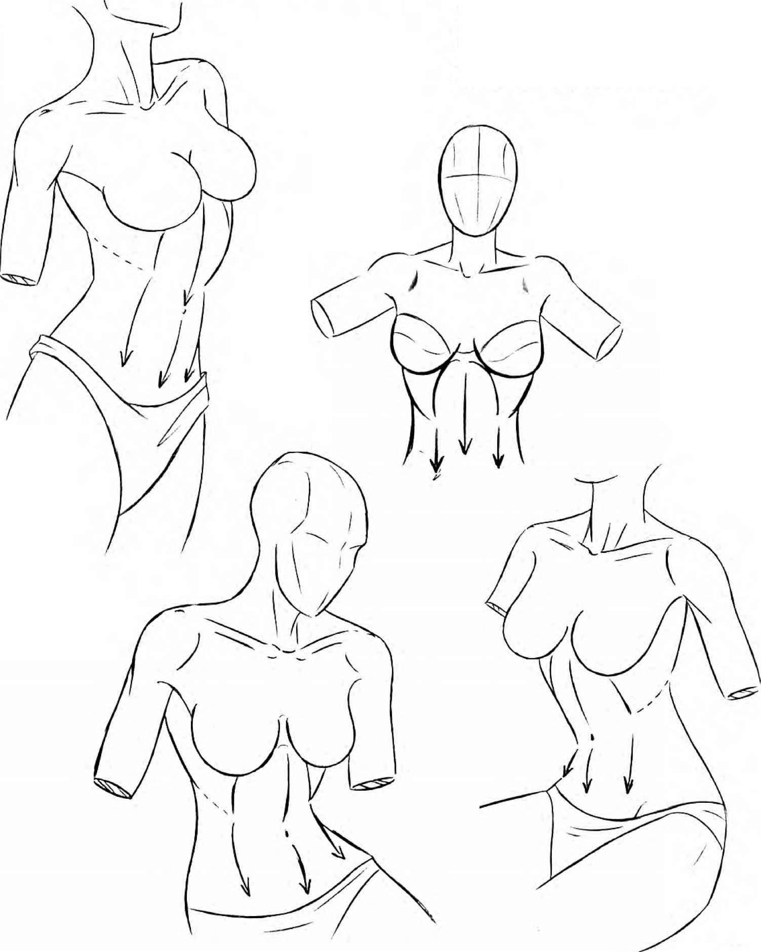 аниме как нарисовать грудь фото 96