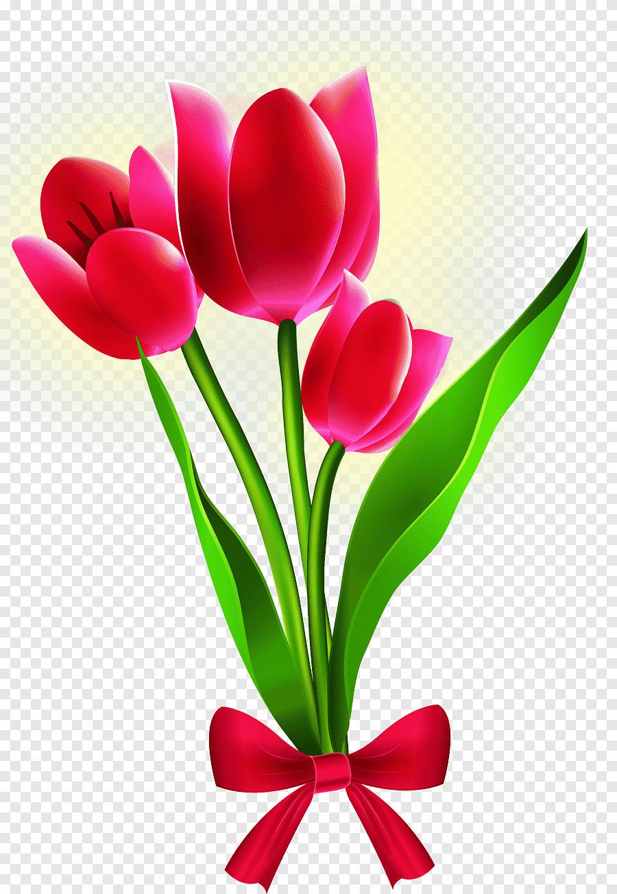 Tulip картинка для детей