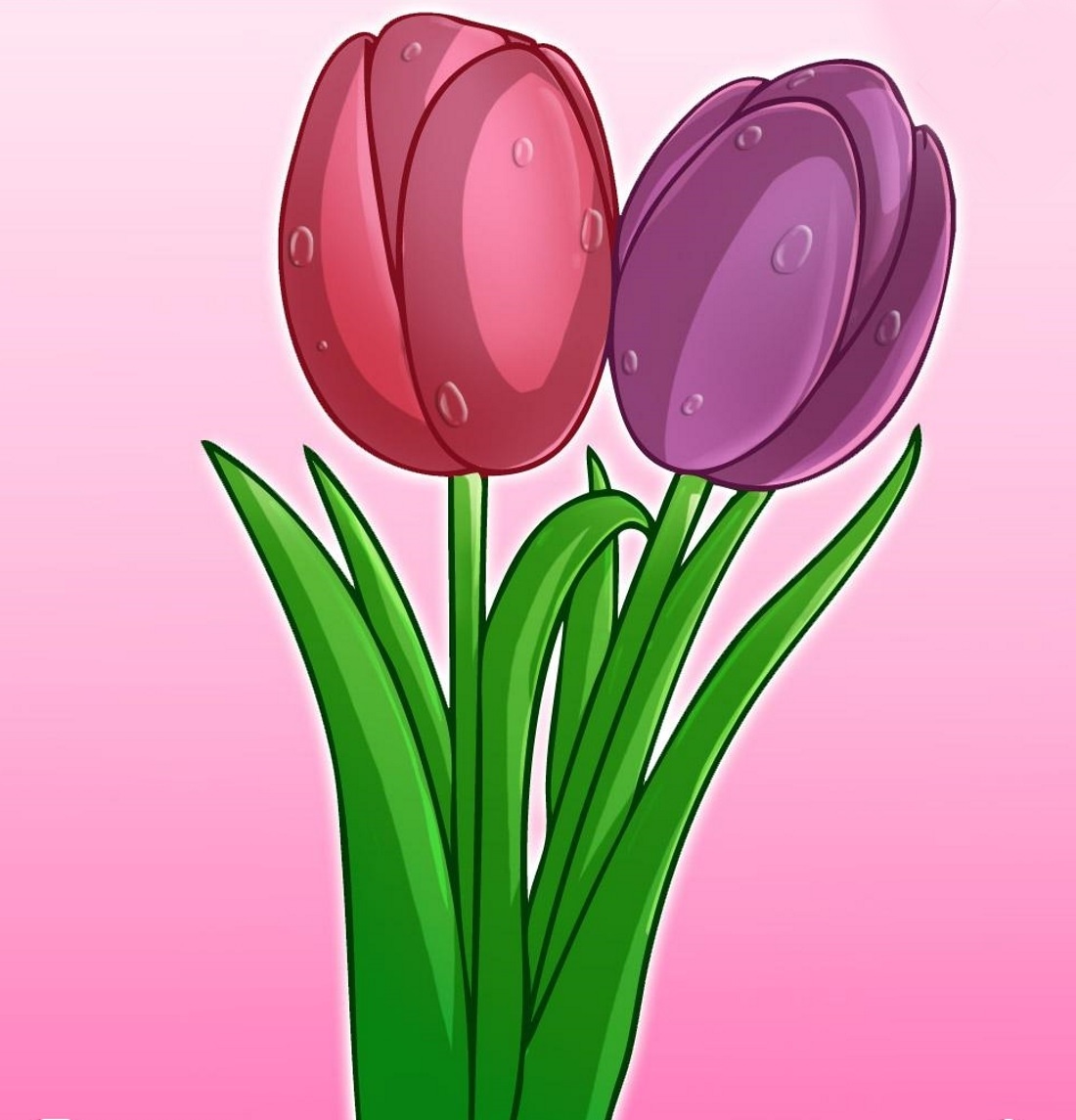 Tulip картинка для детей