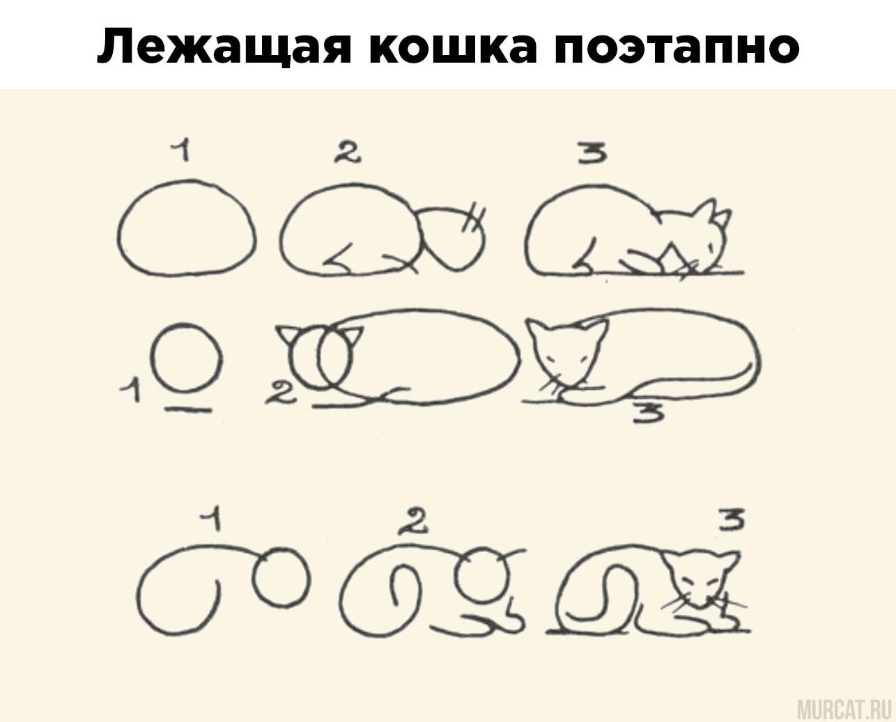 Лежащая кошка нарисовать