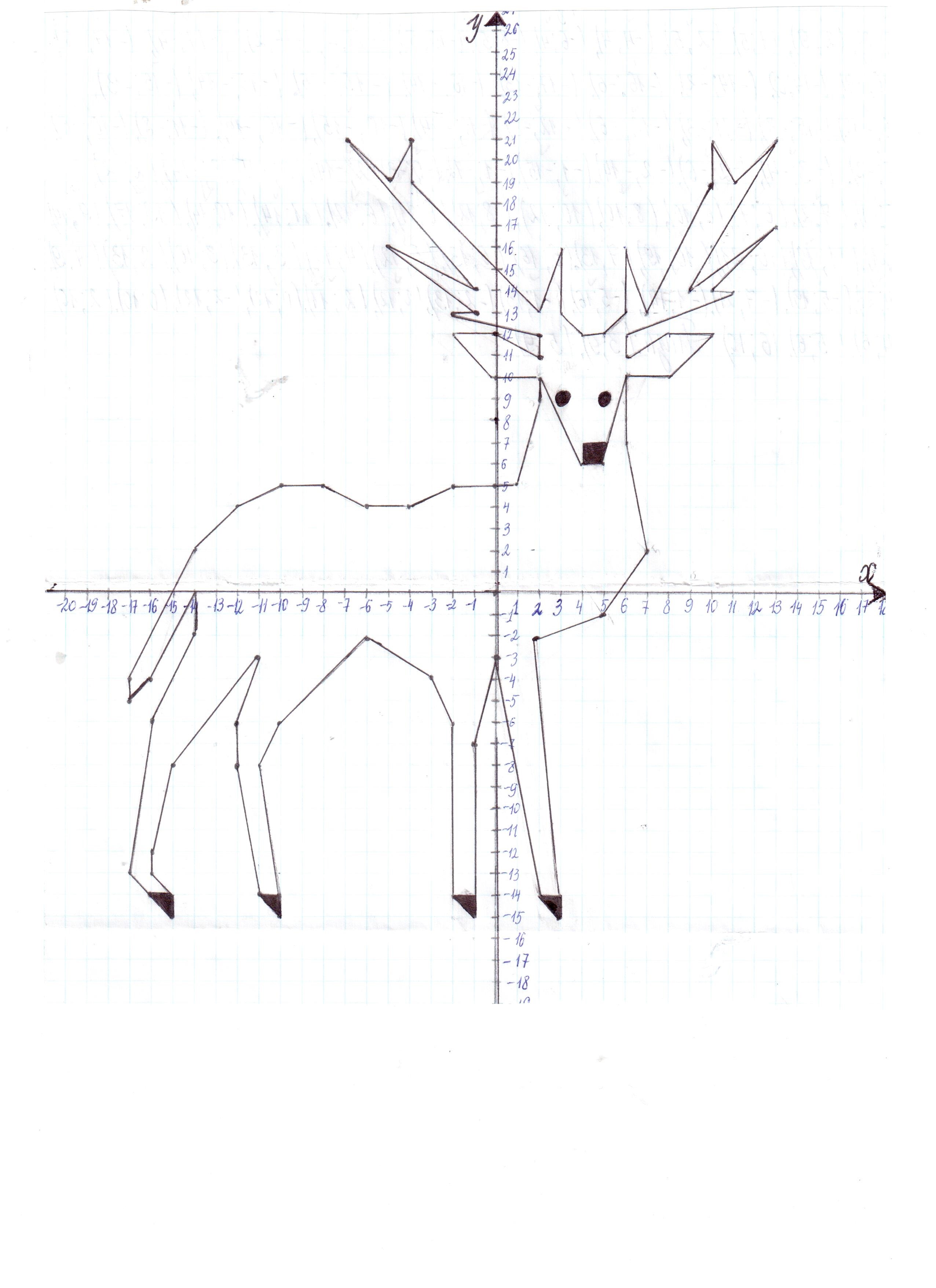 Рисунок по координатам олень