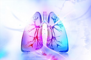 Рисунок лёгких человека