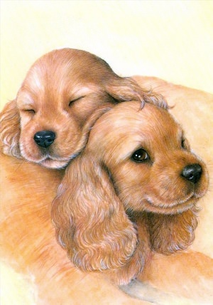 Милые собаки рисунки