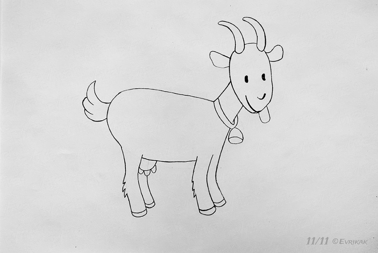 Рисование козлятки выбежали погулять на зеленый лужок. Коза рисунок. Козочка для срисовывания. Коза рисунок для детей карандашом. Козленок рисунок.