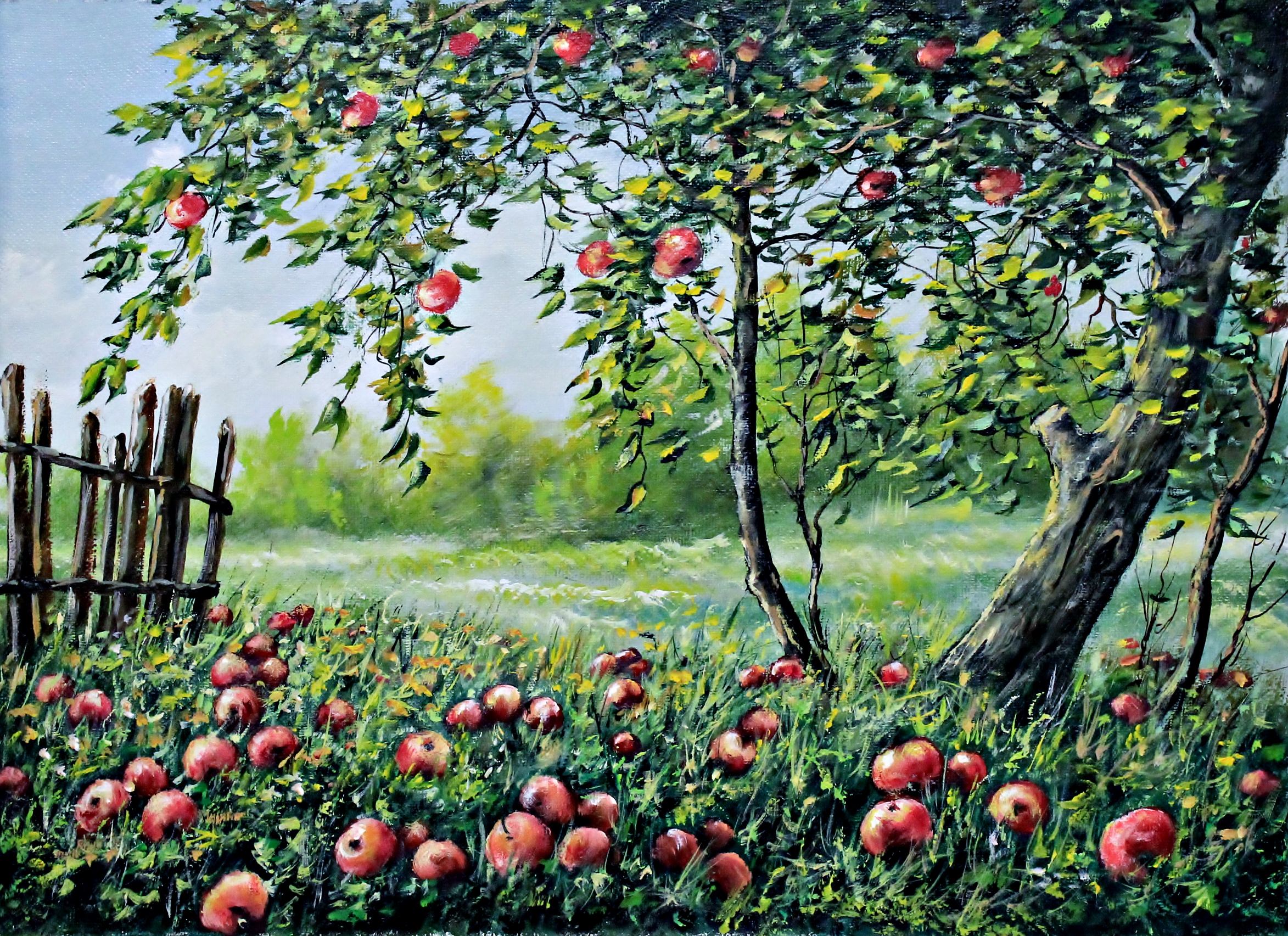 Знак фруктовые сады. Яблоки живопись август Абакумов. Картина яблони живопись август Абакумов. Яблоня дерево.