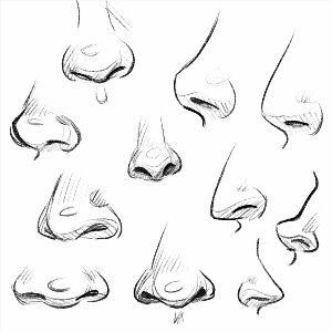 Стили рисования носа