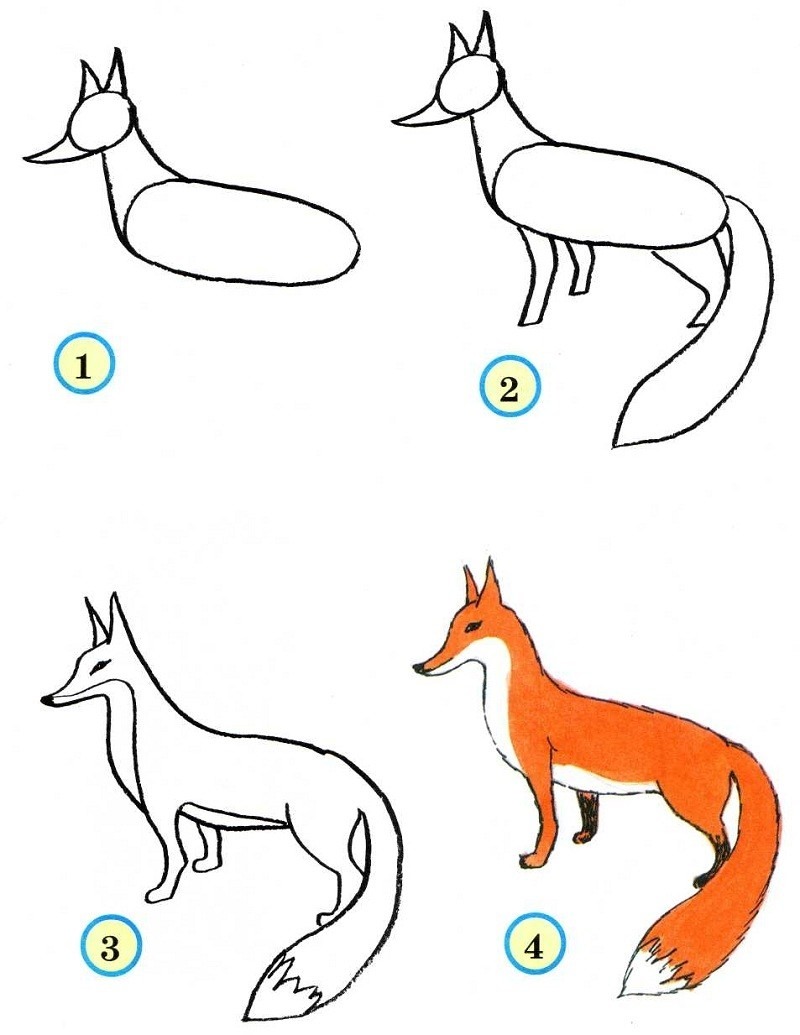 Лёгкие рисунки животных для детей.