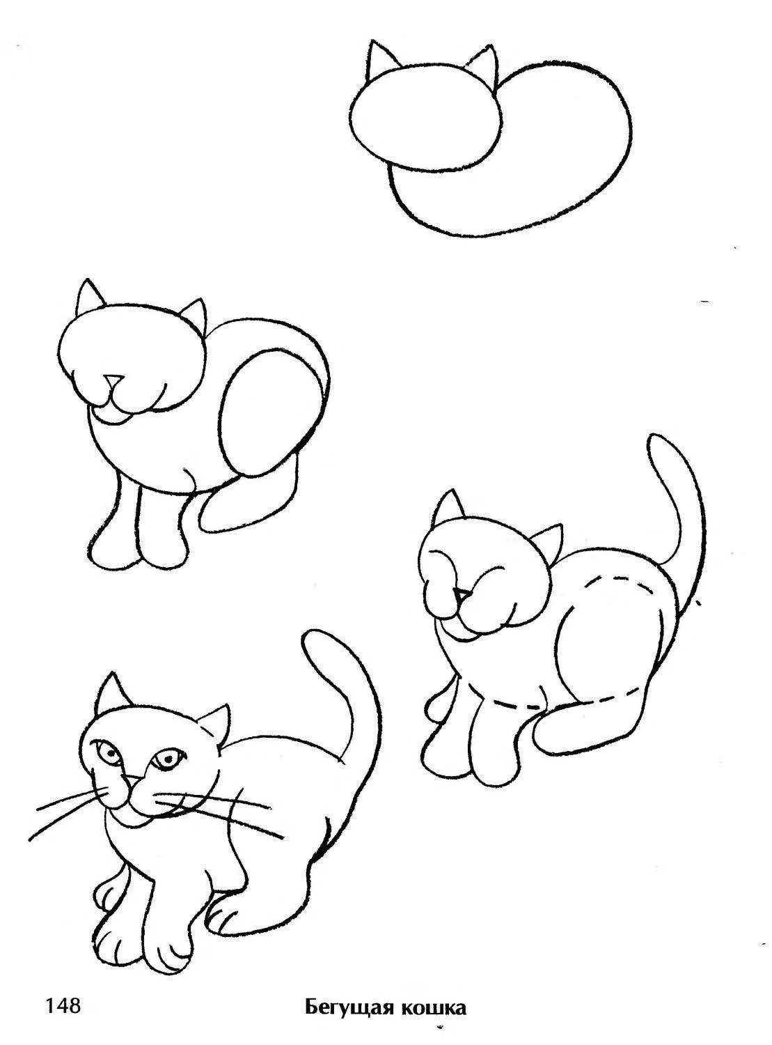 Что нарисовать быстро и красиво. Поэтапное рисование кошки. Рисунок котёнка карандашом для детей. Схема рисования кошки. Поэтапное рисование кота для детей.
