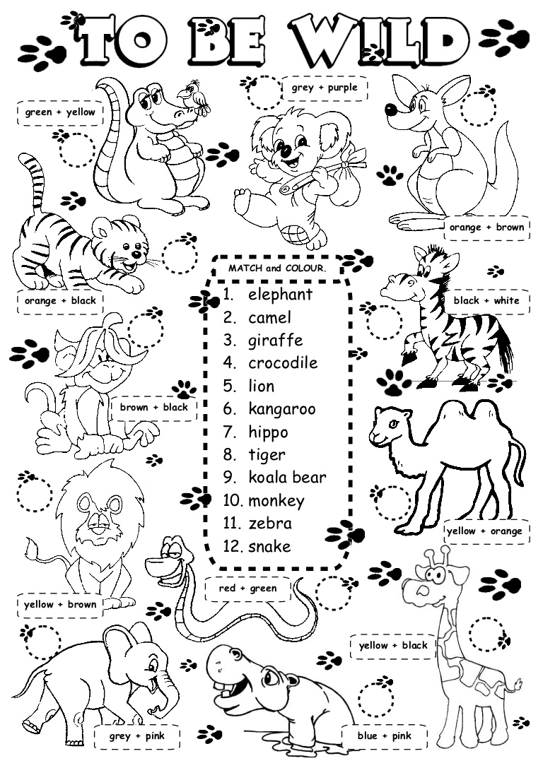 Wild animals worksheets for kids. Задания по английскому животные. Животные на английском задания. Задания английский английский животные. Животные на англ задания для малышей.