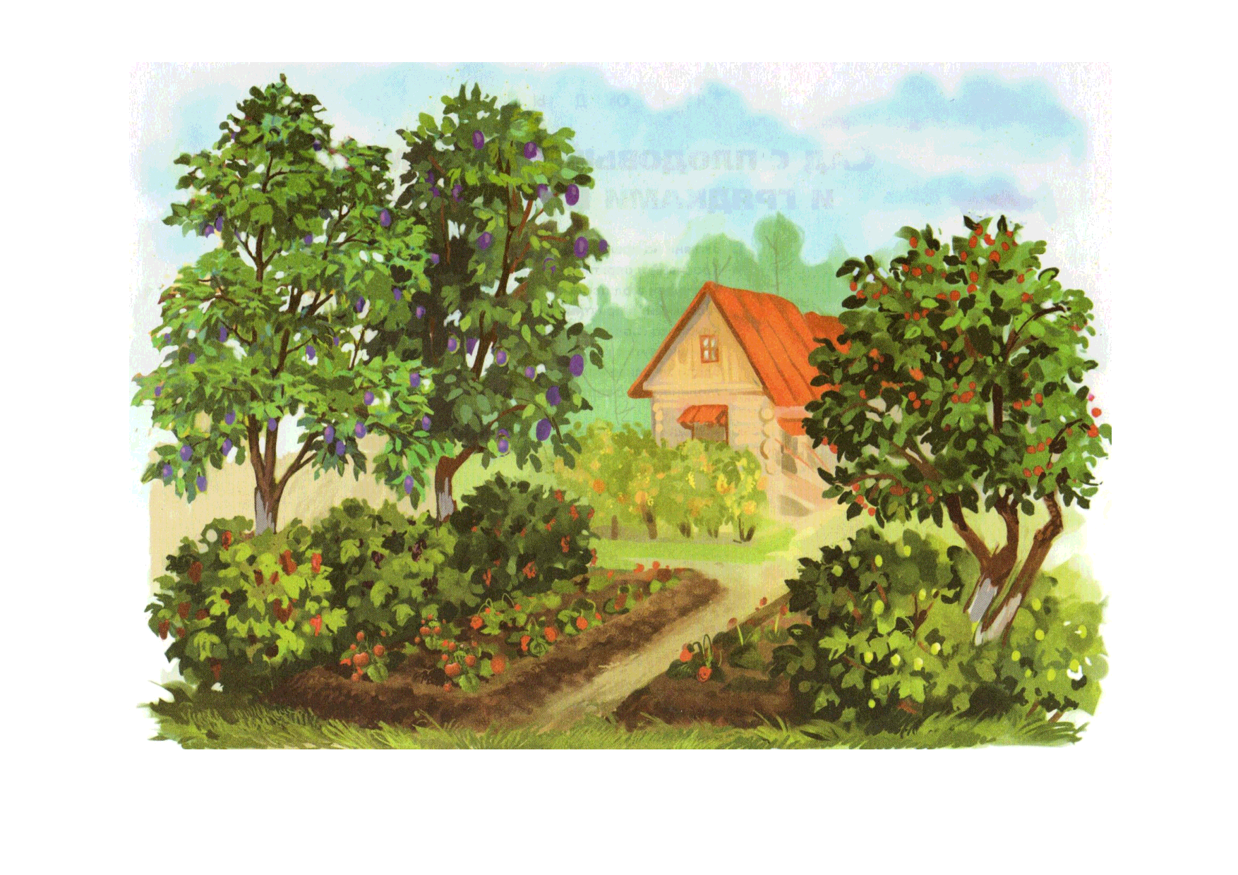 Нарисуем огород там растет два куста ягоды. Сад с деревьями и кустами для детей. Сад с фруктовыми деревьями для детей. Изображение сада для детей. Фруктовый сад иллюстрация.