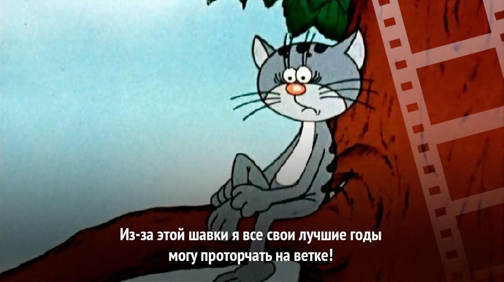 Рисунок котенок с улицы лизюкова