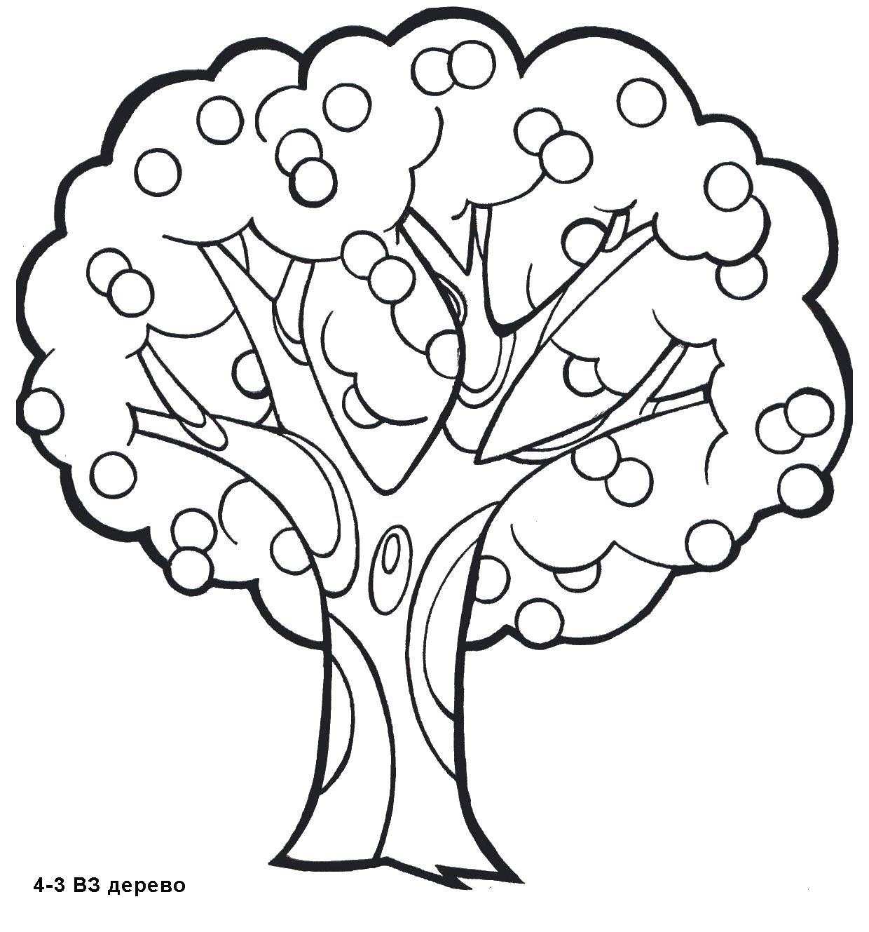Скопировать дерево. Дерево раскраска. Дерево раскраска для детей. Дерево раскраска для малышей. Яблоня раскраска.