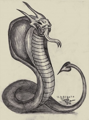 Рисунки для срисовки змеи
