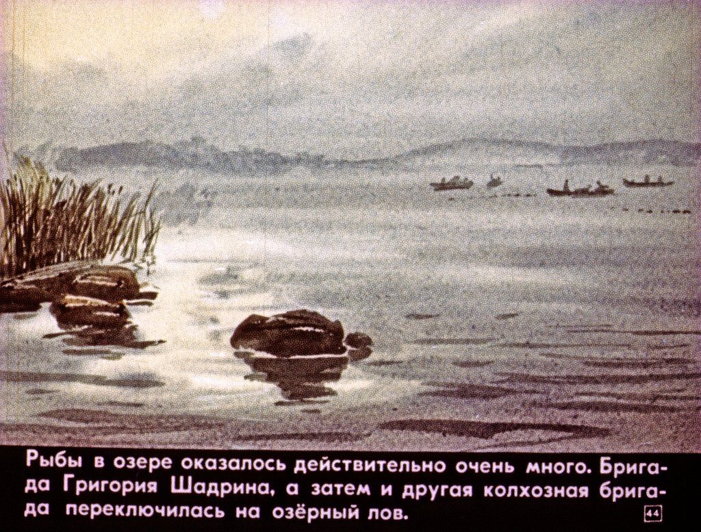 Глухарь Васюткино озеро. Нарисовать иллюстрацию к рассказу Васюткино озеро. Астафьев Песнопевица. Васюткино озеро.