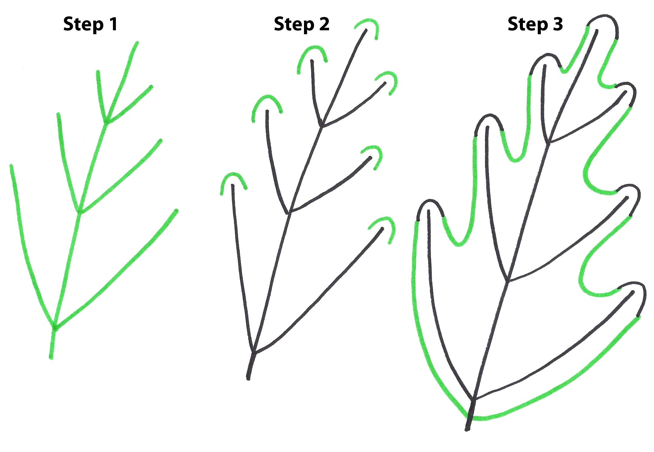 Нарисовать листья пошагово. Лист поэтапное рисование. Листья рисунок. Лист рисунок поэтапно. Поэтапное рисование листьев деревьев.