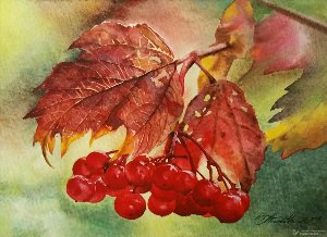Осенние ягоды рисунок