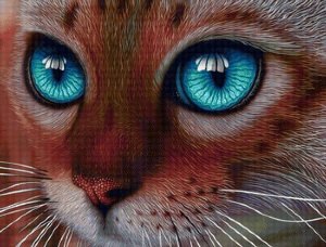 Глаза кота рисунок