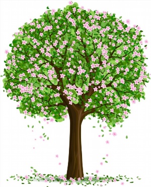 Весеннее дерево картинки для детей
